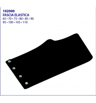 FASCIA ELASTICA