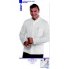 GIACCHE COREANE